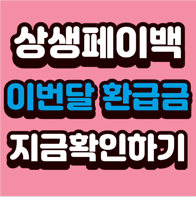 뜻밖의 용돈?! 상생페이백 이번 달 환급금 확인법