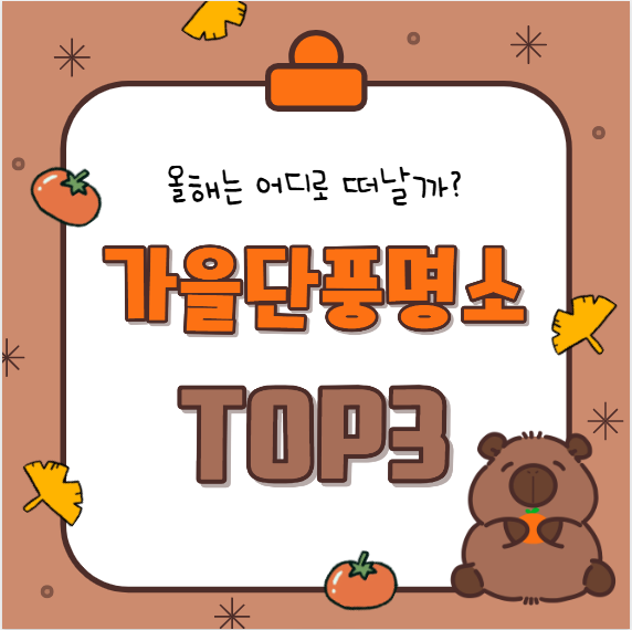 [가을 단풍 가이드] 올해는 어디로 떠날까? 단풍 명소 TOP 3