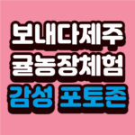 “보내다제주: 가지 말자던 사람도 반할 제주 감귤체험 – 신혼부부 픽 감성 포토존