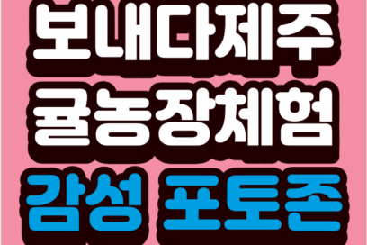 “보내다제주: 가지 말자던 사람도 반할 제주 감귤체험 – 신혼부부 픽 감성 포토존