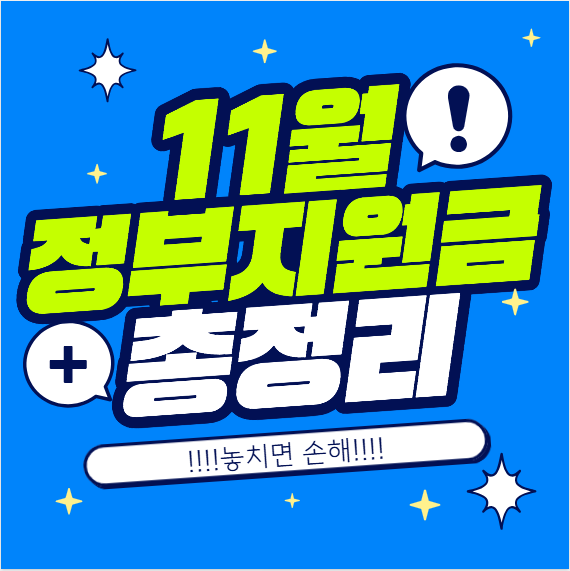 2025년 11월 놓치면 손해! 정부지원금 총정리