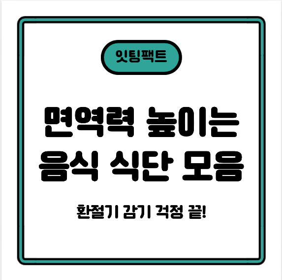 환절기 감기 걱정 끝! 면역력 높이는 음식과 식단 모음