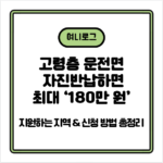 고령층 운전면허 자진반납하면 최대 ‘180만 원’ 지원하는 지역 & 신청 방법 총정리