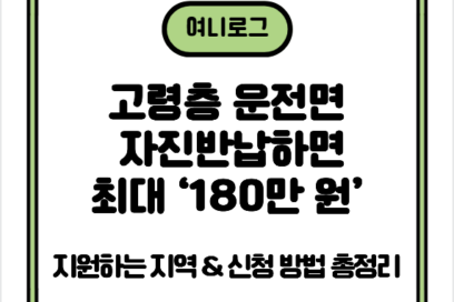 고령층 운전면허 자진반납하면 최대 ‘180만 원’ 지원하는 지역 & 신청 방법 총정리