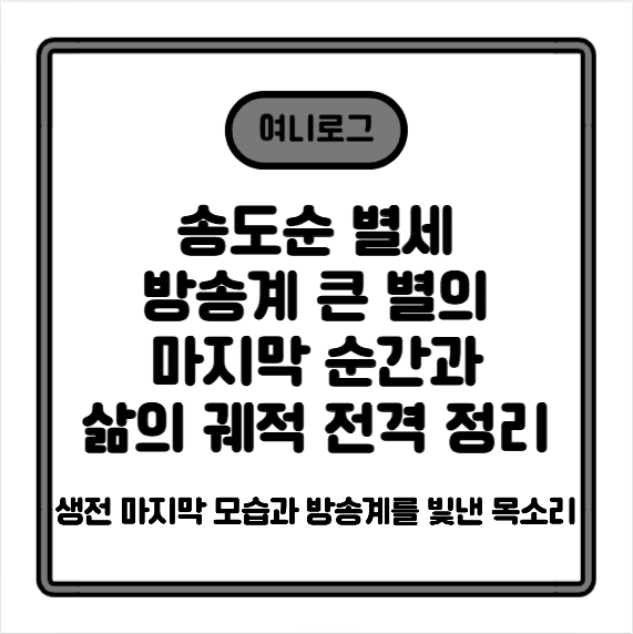 故 송도순 별세｜방송계 큰 별의 마지막 순간과 삶의 궤적 전격 정리